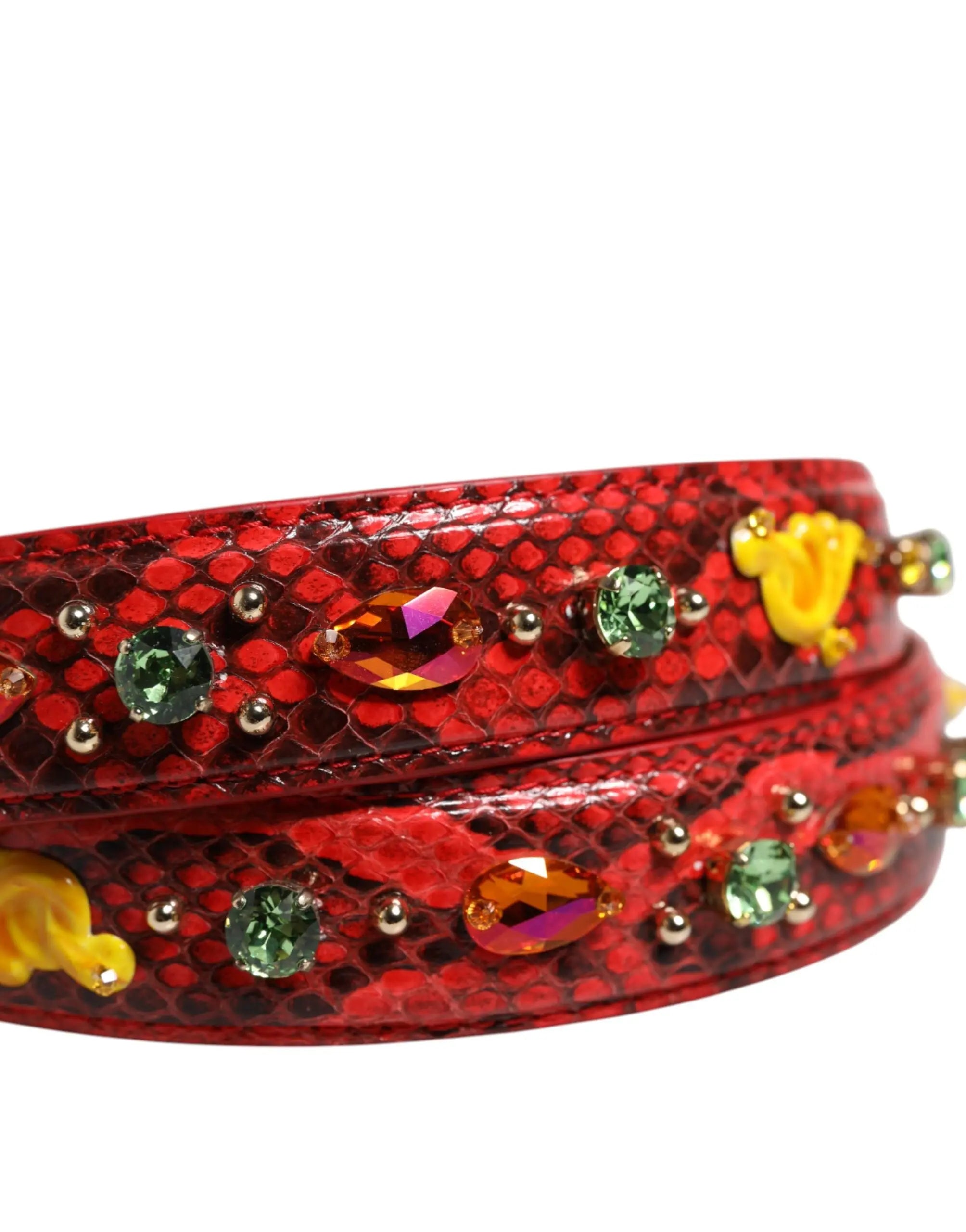Bandoulière Dolce & Gabbana multicolore Dolce & Gabbana