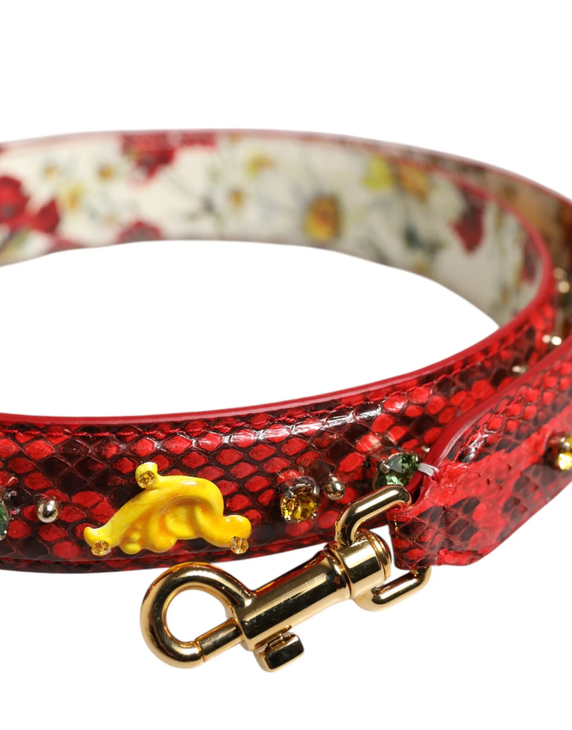 Bandoulière Dolce & Gabbana multicolore Dolce & Gabbana