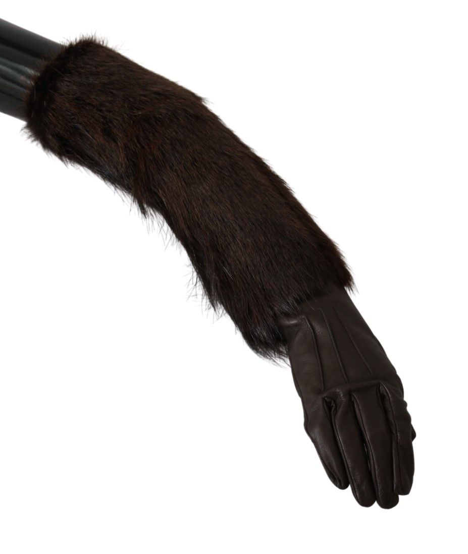 Gants Dolce & Gabbana Elbow bruns