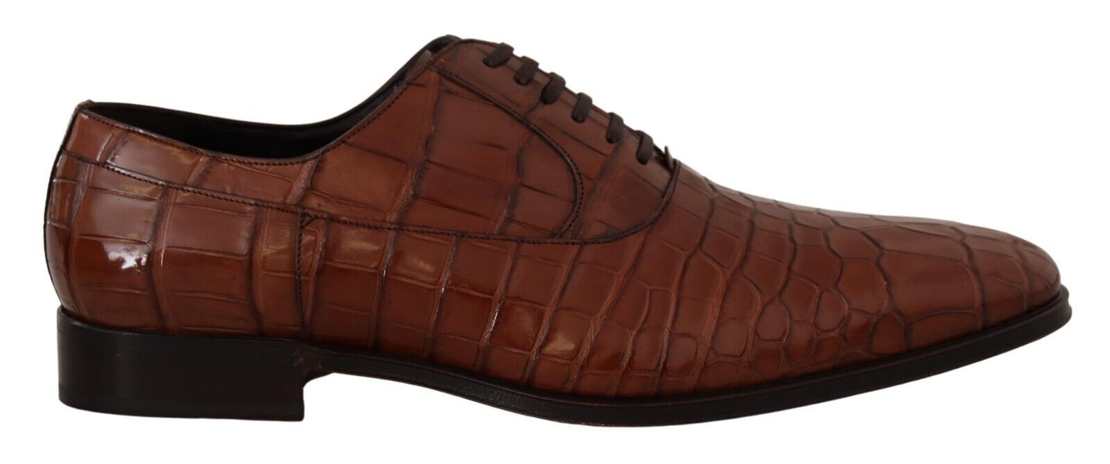 Chaussures DOLCE & GABBANA Derby marron