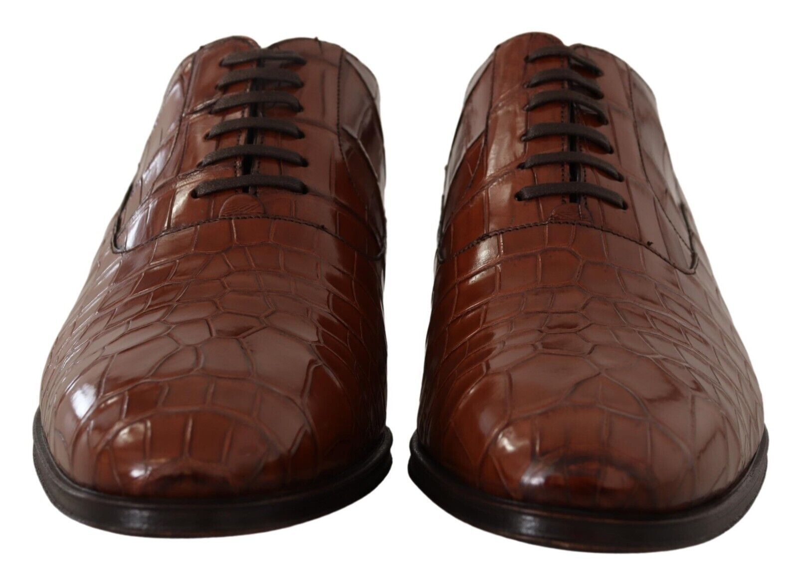 Chaussures DOLCE & GABBANA Derby marron