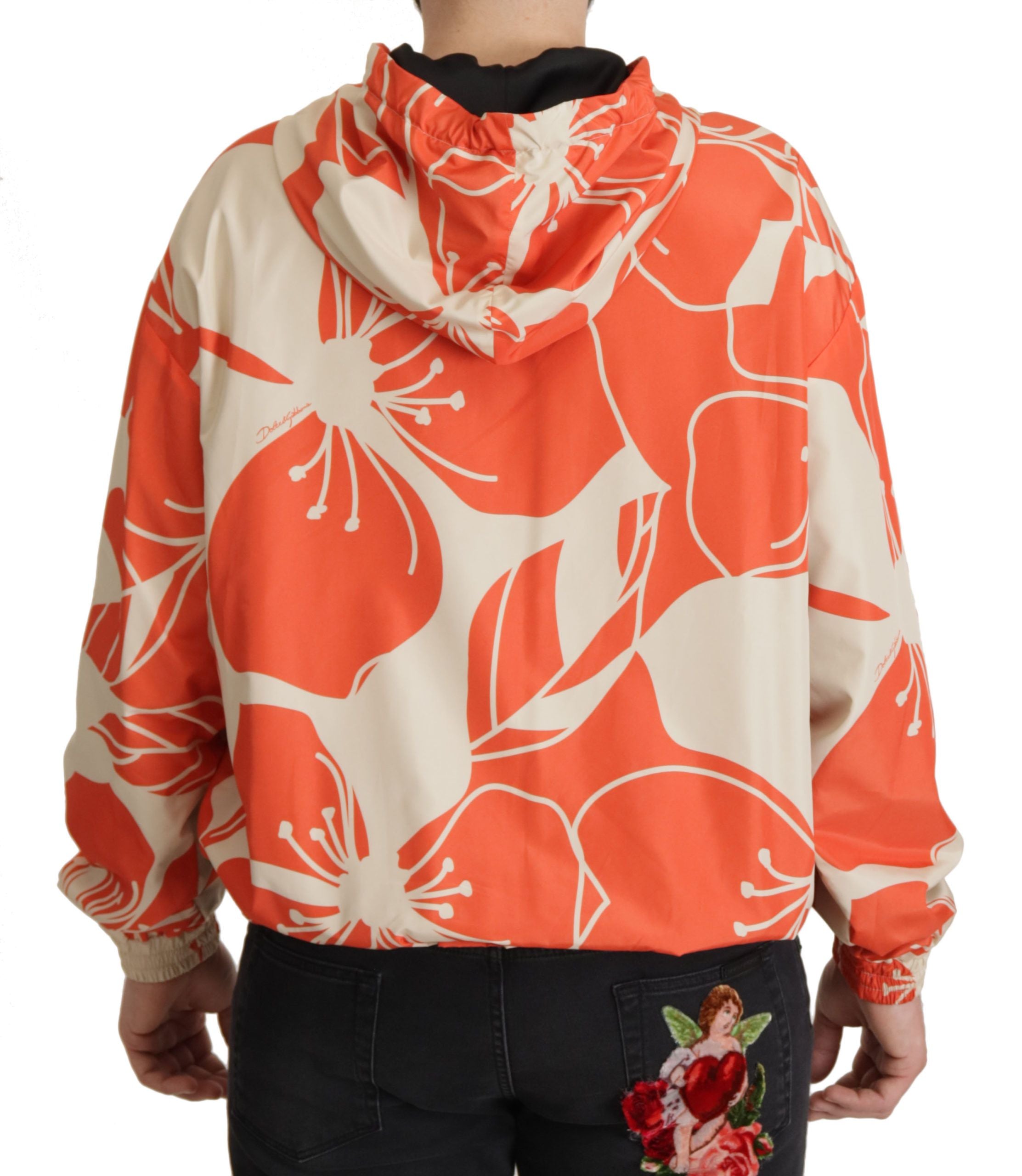 Sweat à capuche Dolce & Gabbana multicolore