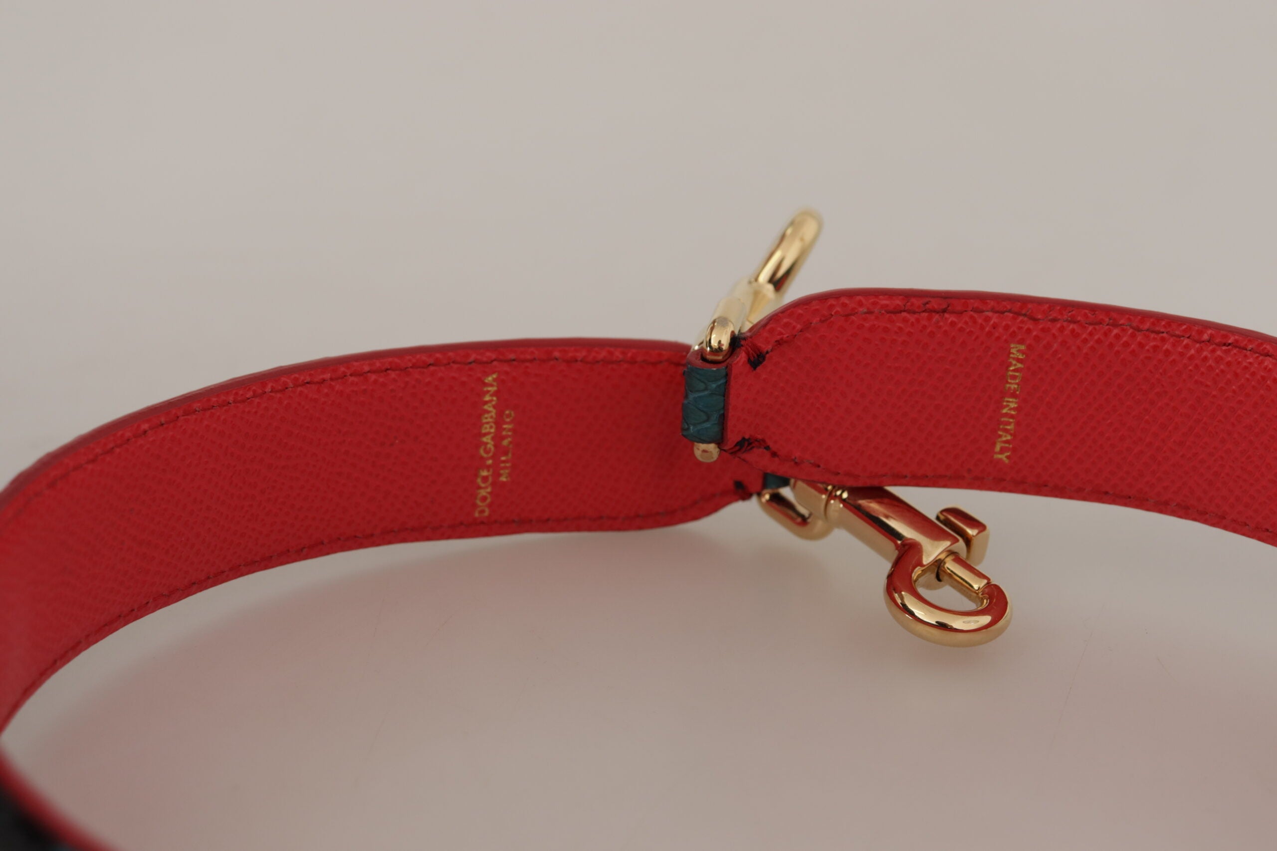 Sangle Dolce & Gabbana verte