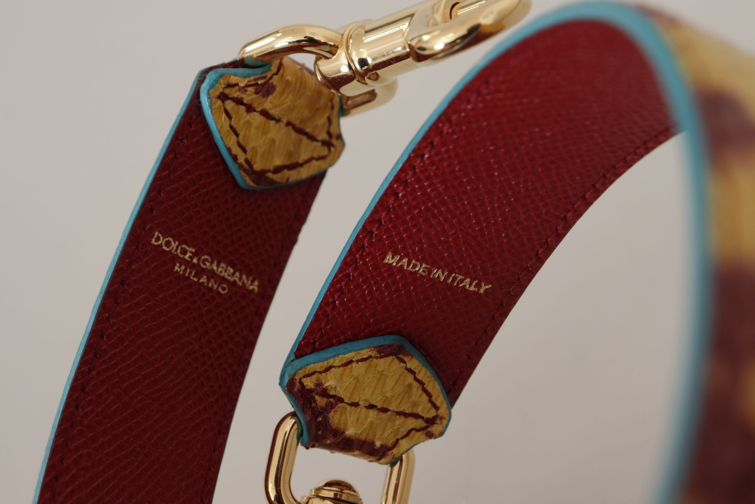 Sangle Dolce & Gabbana multicolore