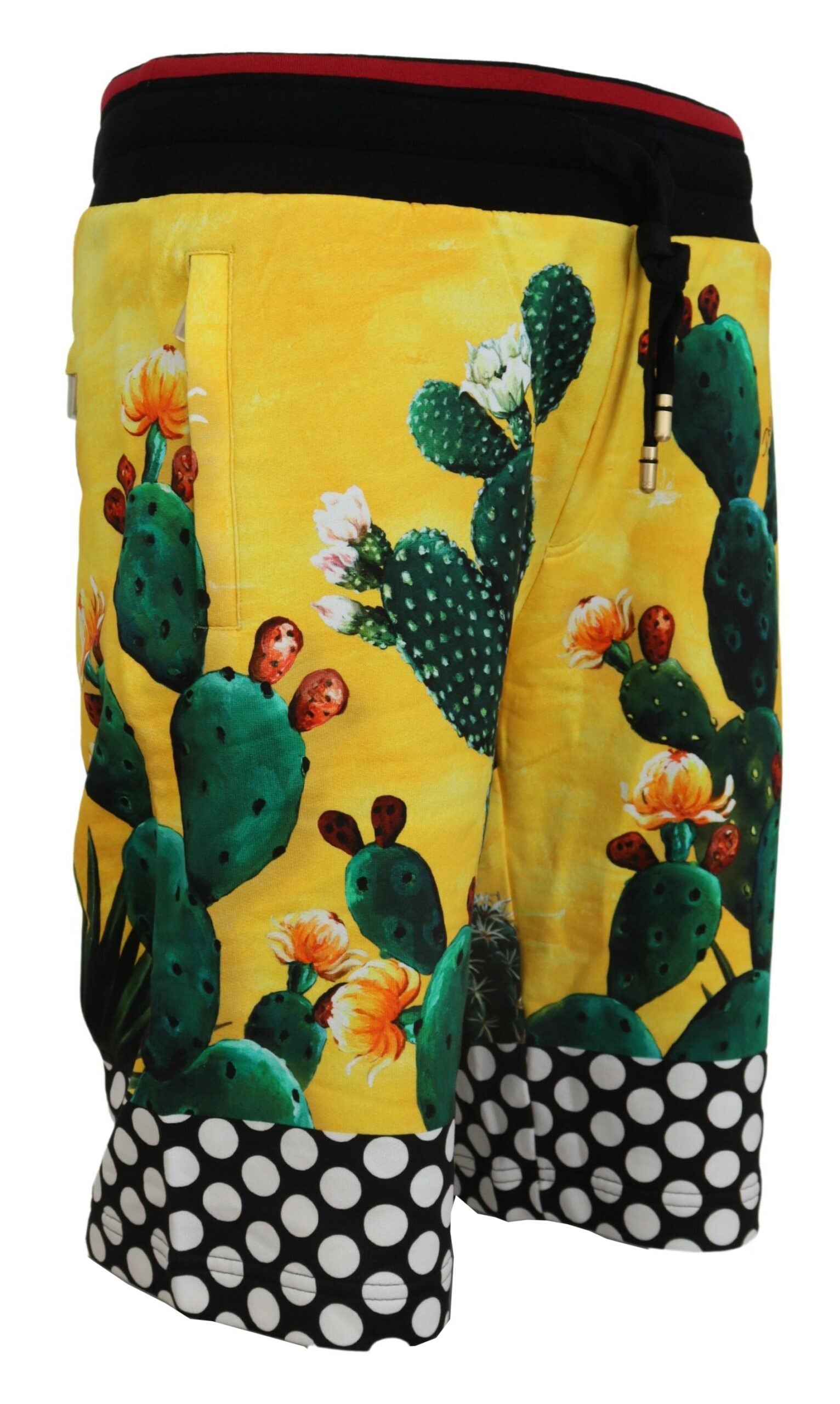 Shorts Dolce & Gabbana cactus multicolores