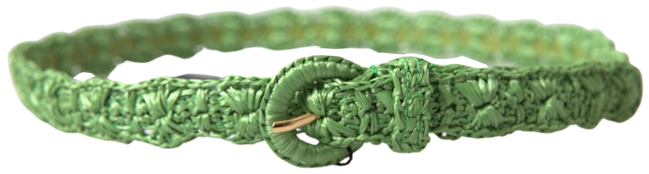 Ceinture Dolce & Gabbana verte