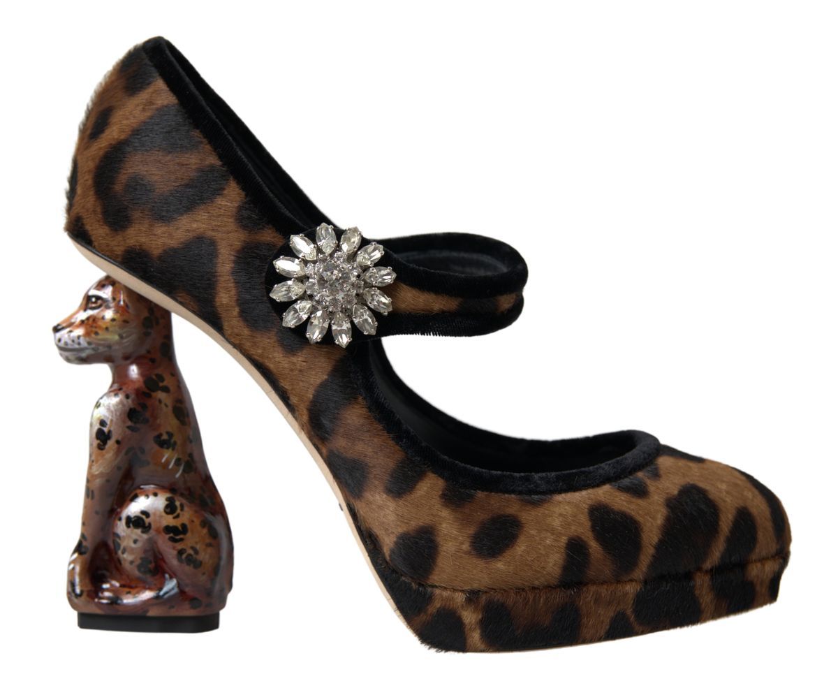Bottines Dolce & Gabbana Leopard noir marron