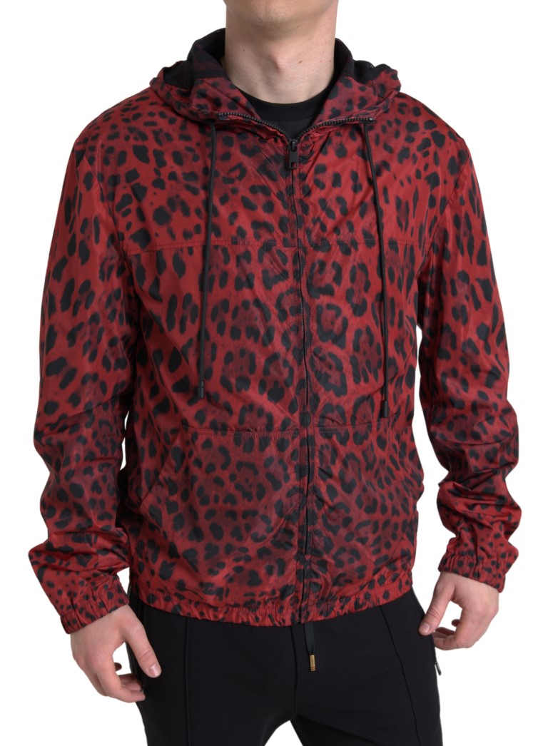 Veste bomber Dolce & Gabbana rouge léopard