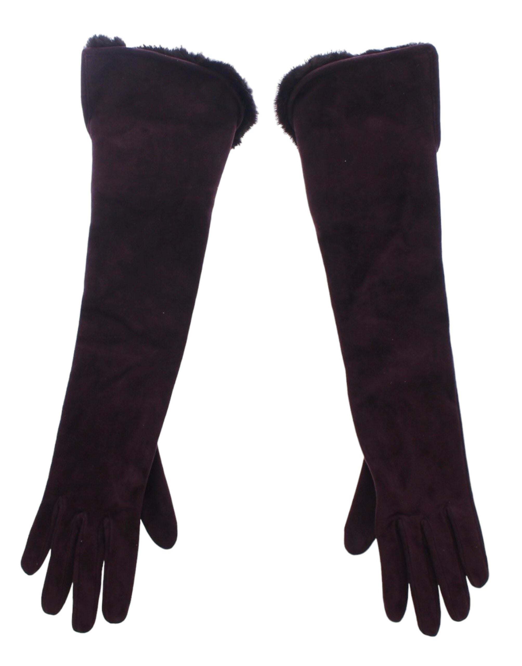 Gants Dolce & Gabbana Elbow violets