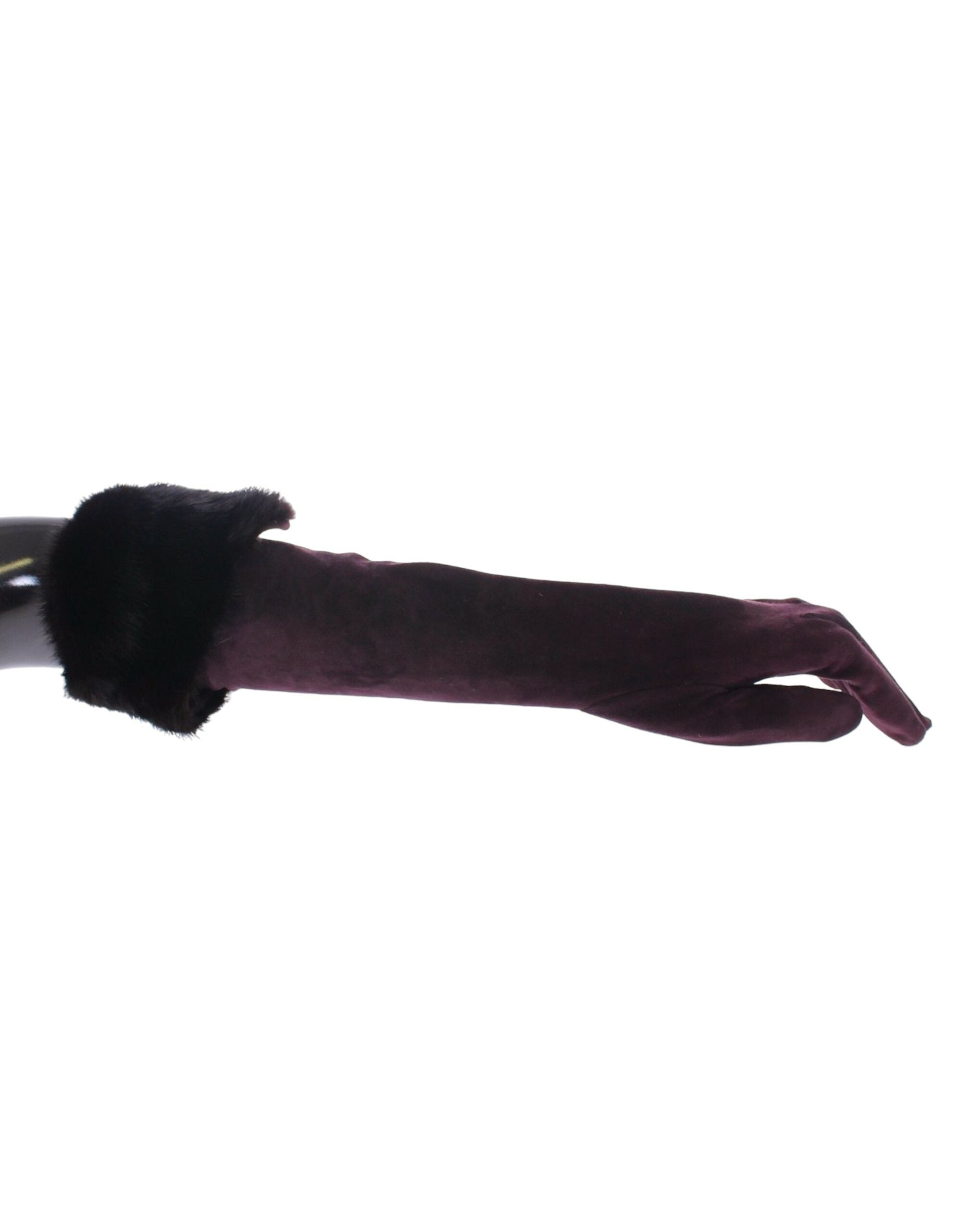 Gants Dolce & Gabbana Elbow violets