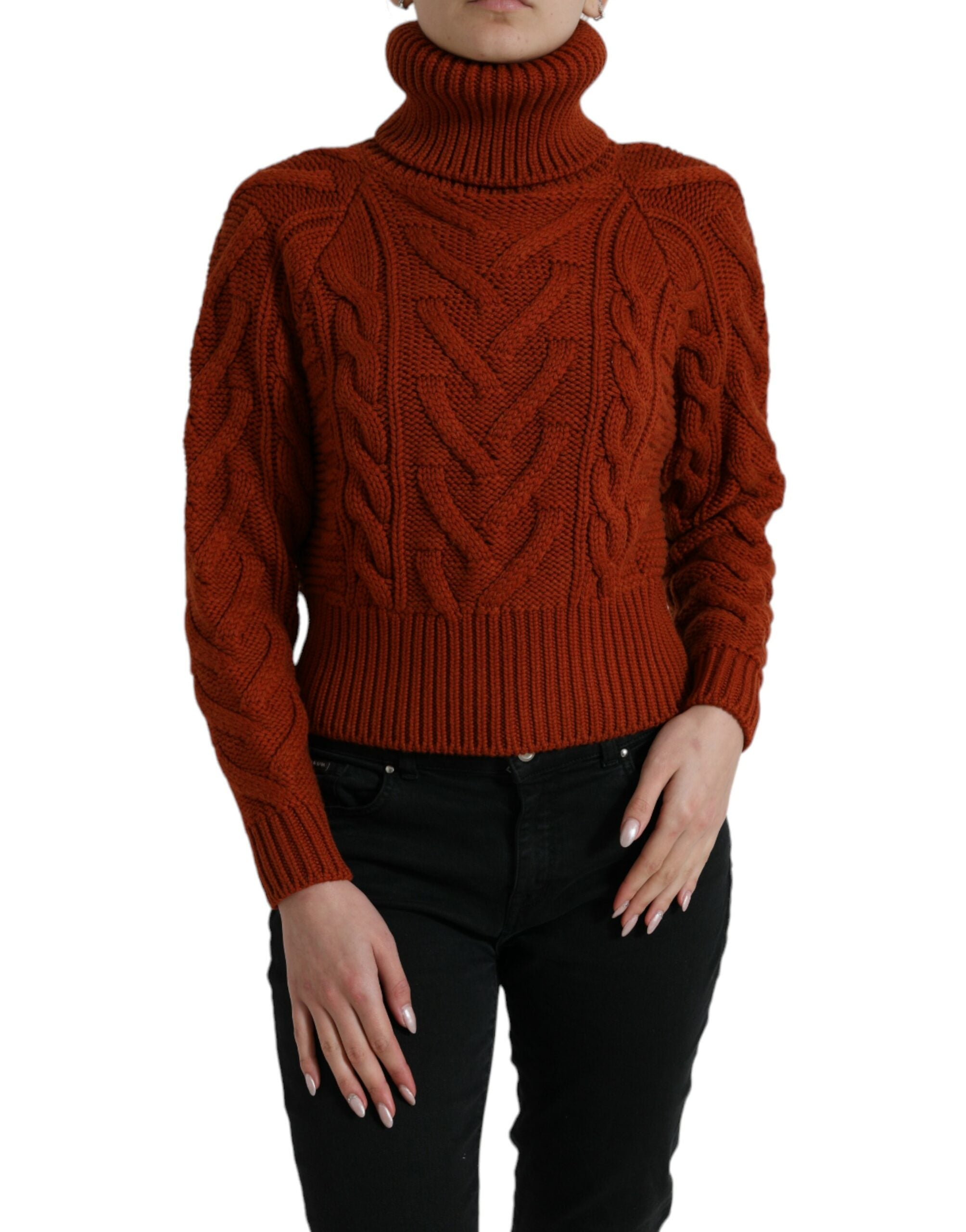 Pull DOLCE & GABBANA turtleneck marron