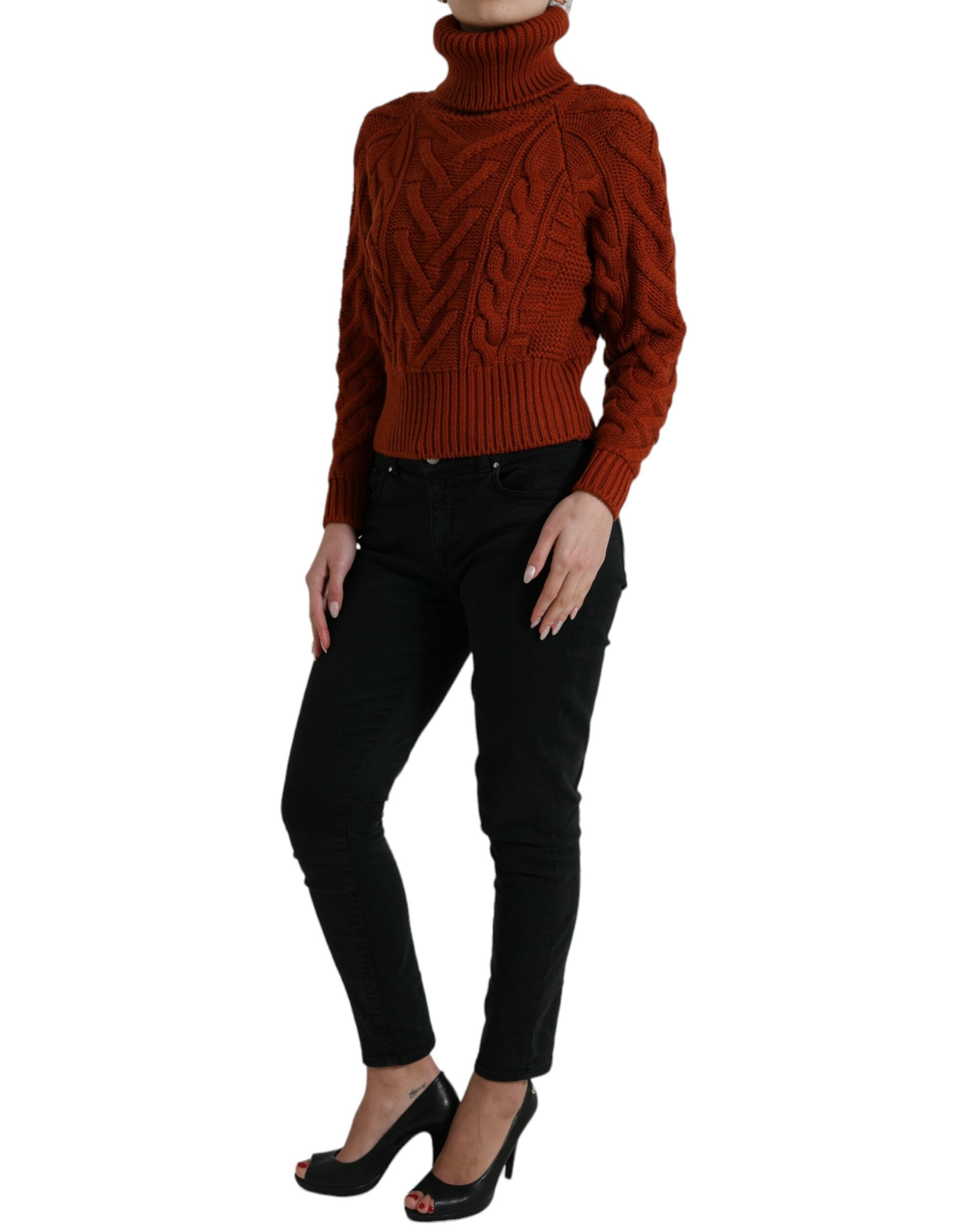 Pull DOLCE & GABBANA turtleneck marron