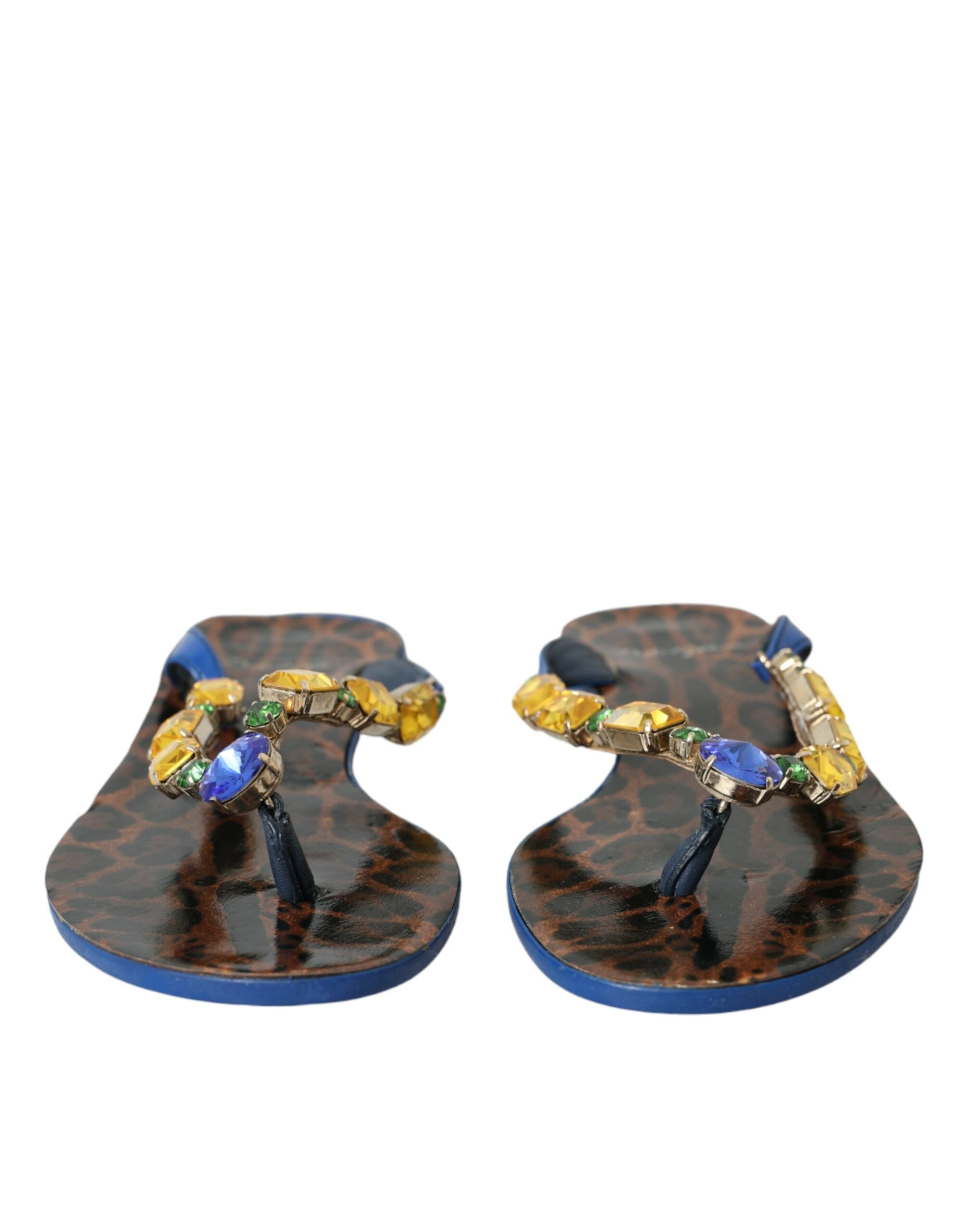 Sandales Dolce & Gabbana multicolores