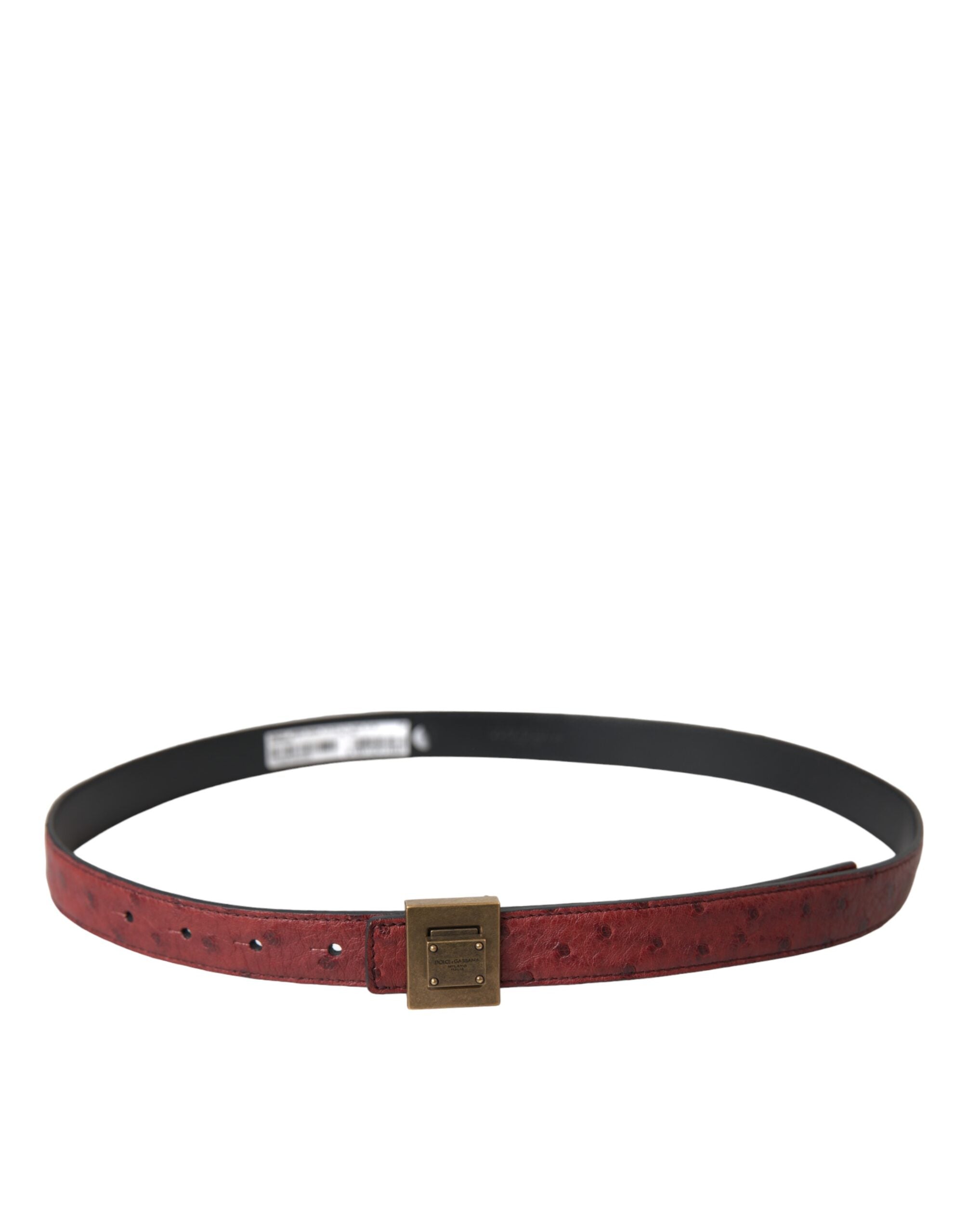 Ceinture Dolce & Gabbana brune