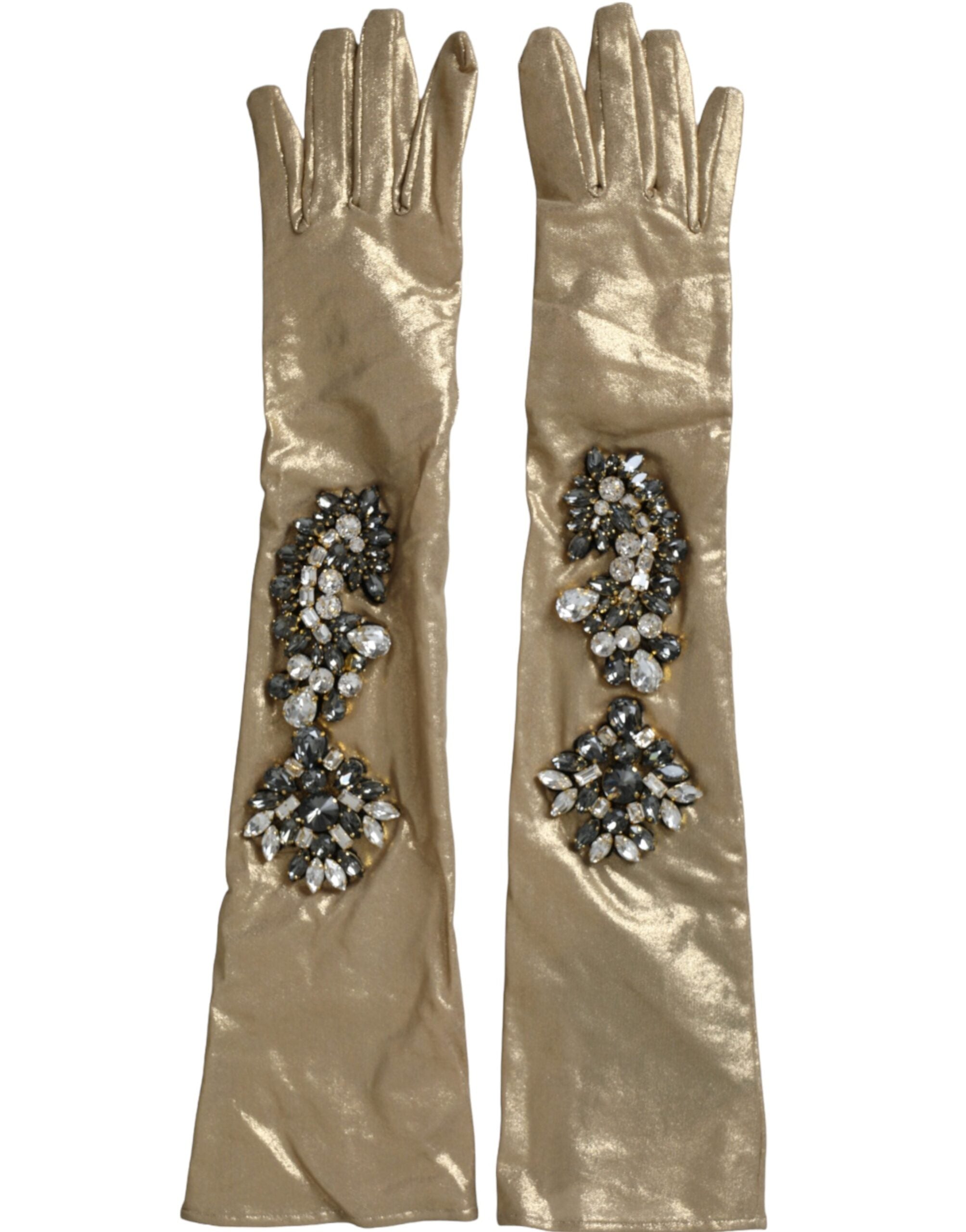 Gants Dolce & Gabbana Elbow beige