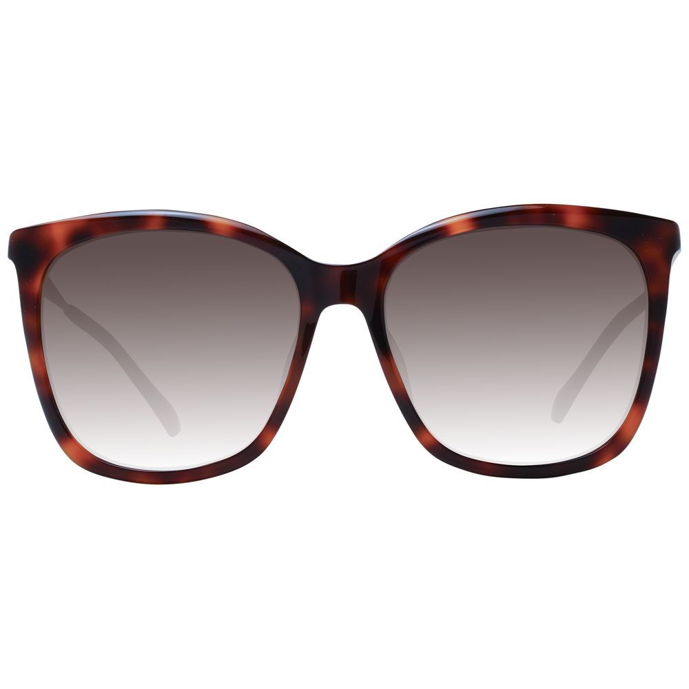 Lunettes de soleil brunes