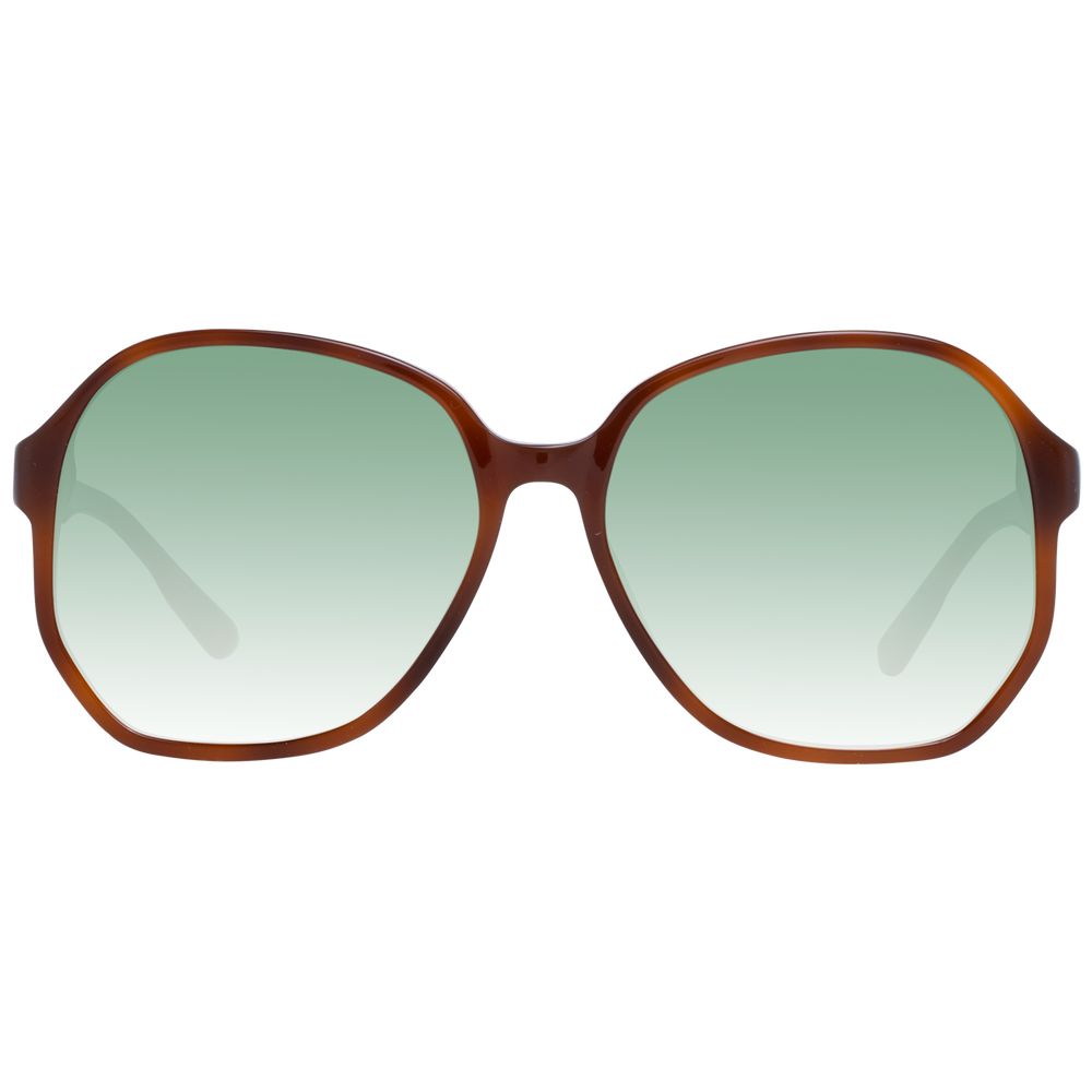 Lunettes de soleil Brown vertes marron