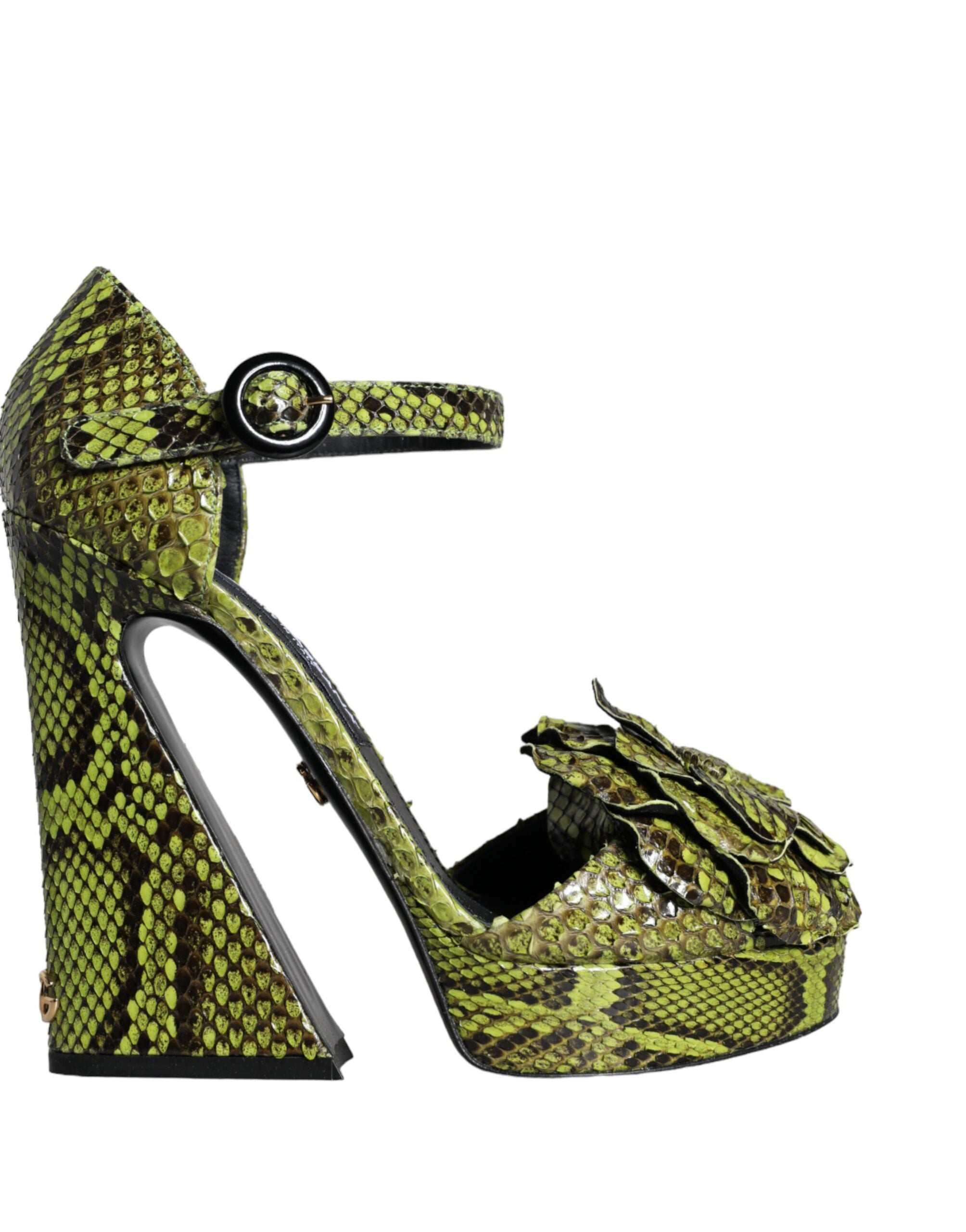 Sandales Dolce & Gabbana vertes