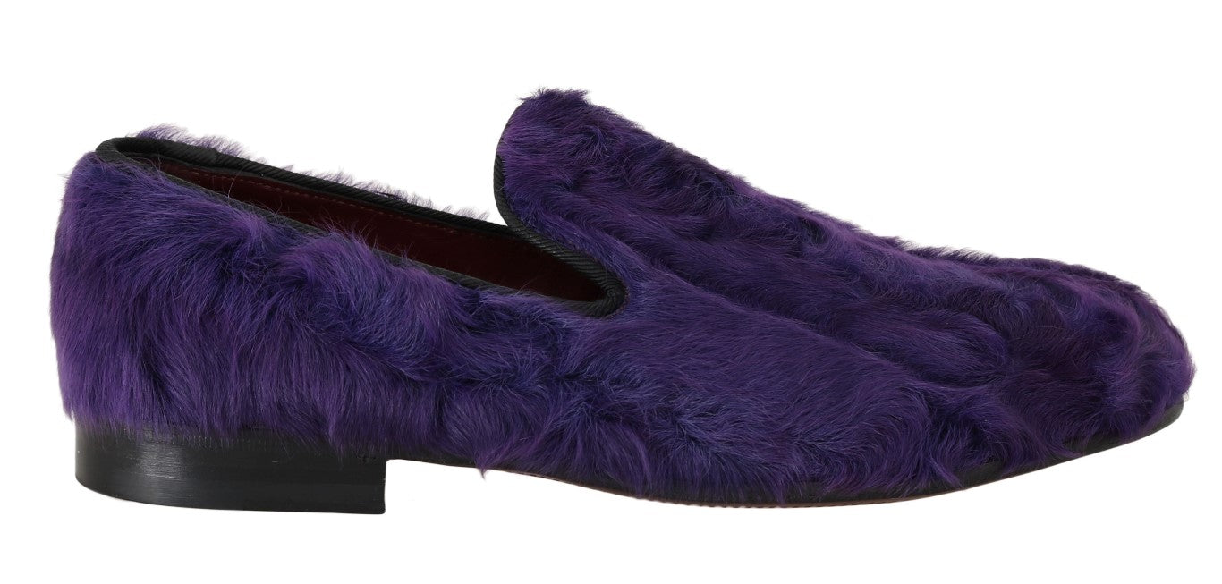 Loafers Dolce & Gabbana violettes