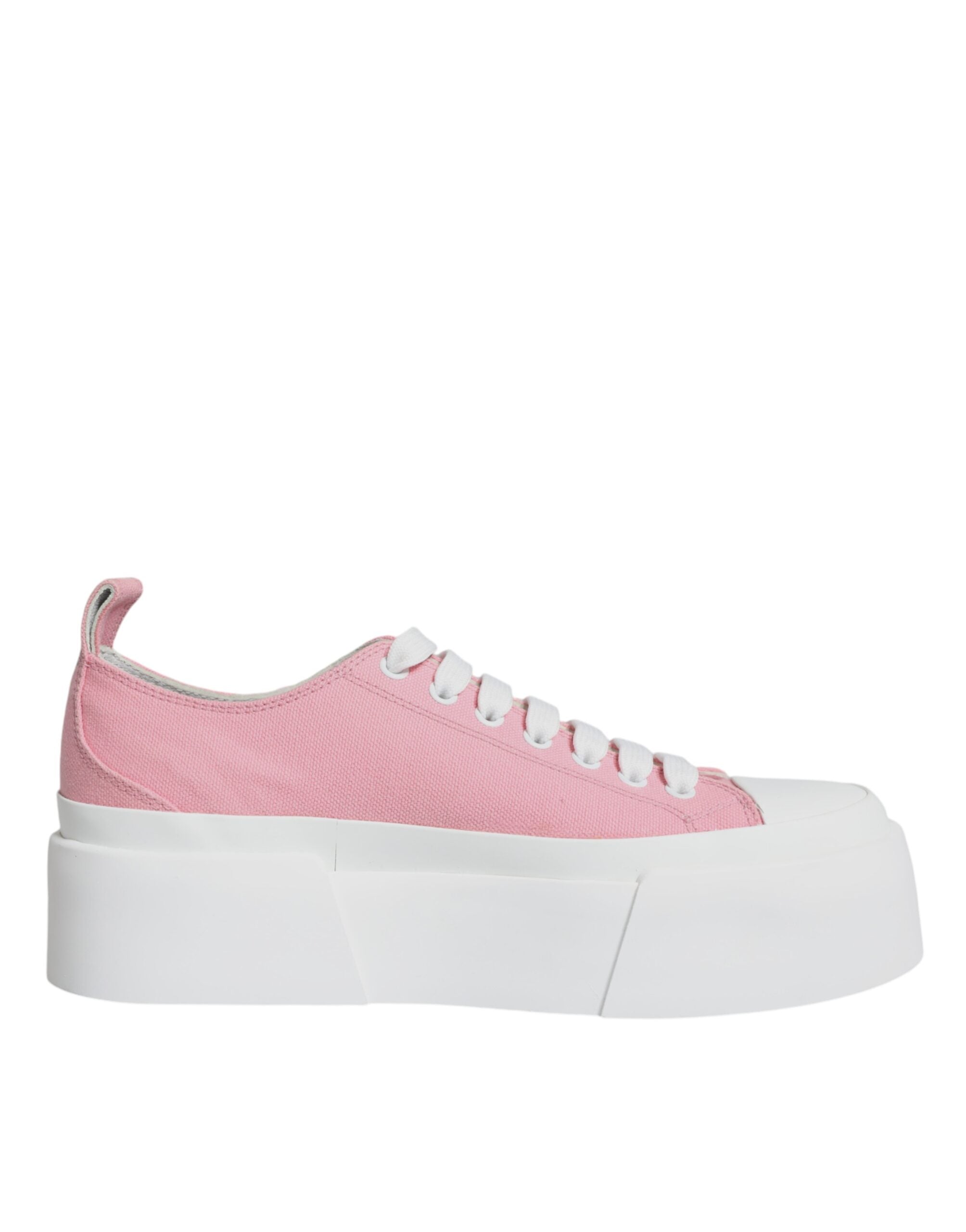 Baskets Dolce & Gabbana roses et blanches