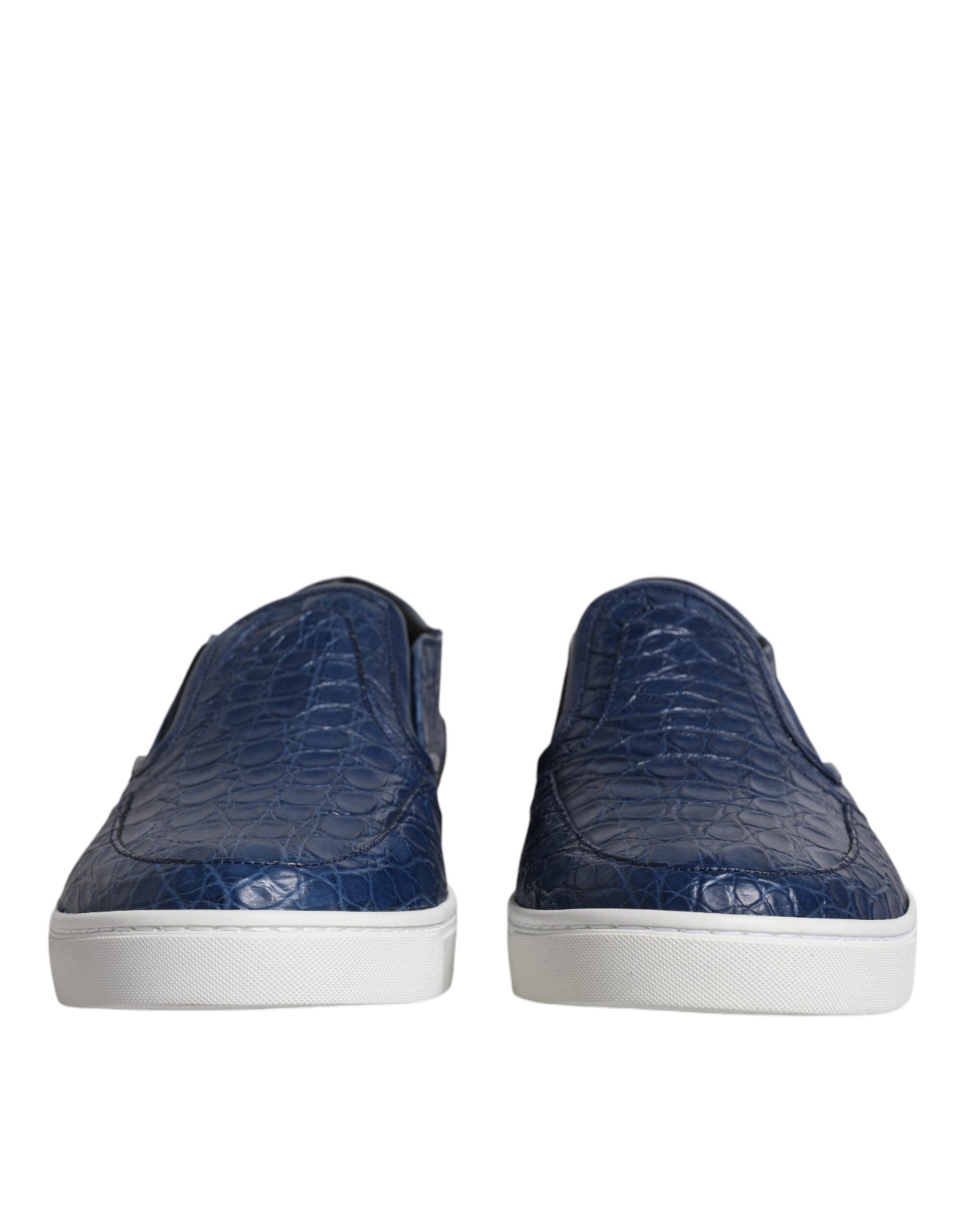 Baskets Dolce & Gabbana bleues