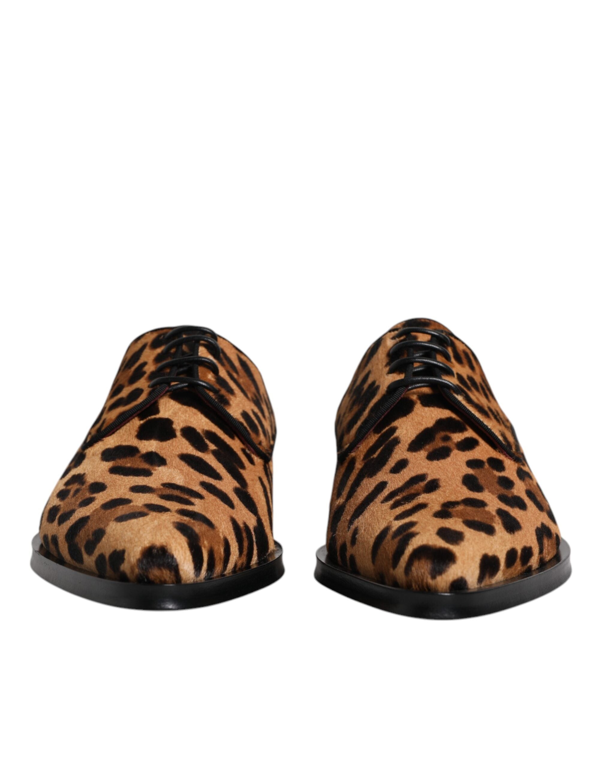 Derbies Dolce & Gabbana léopard marron