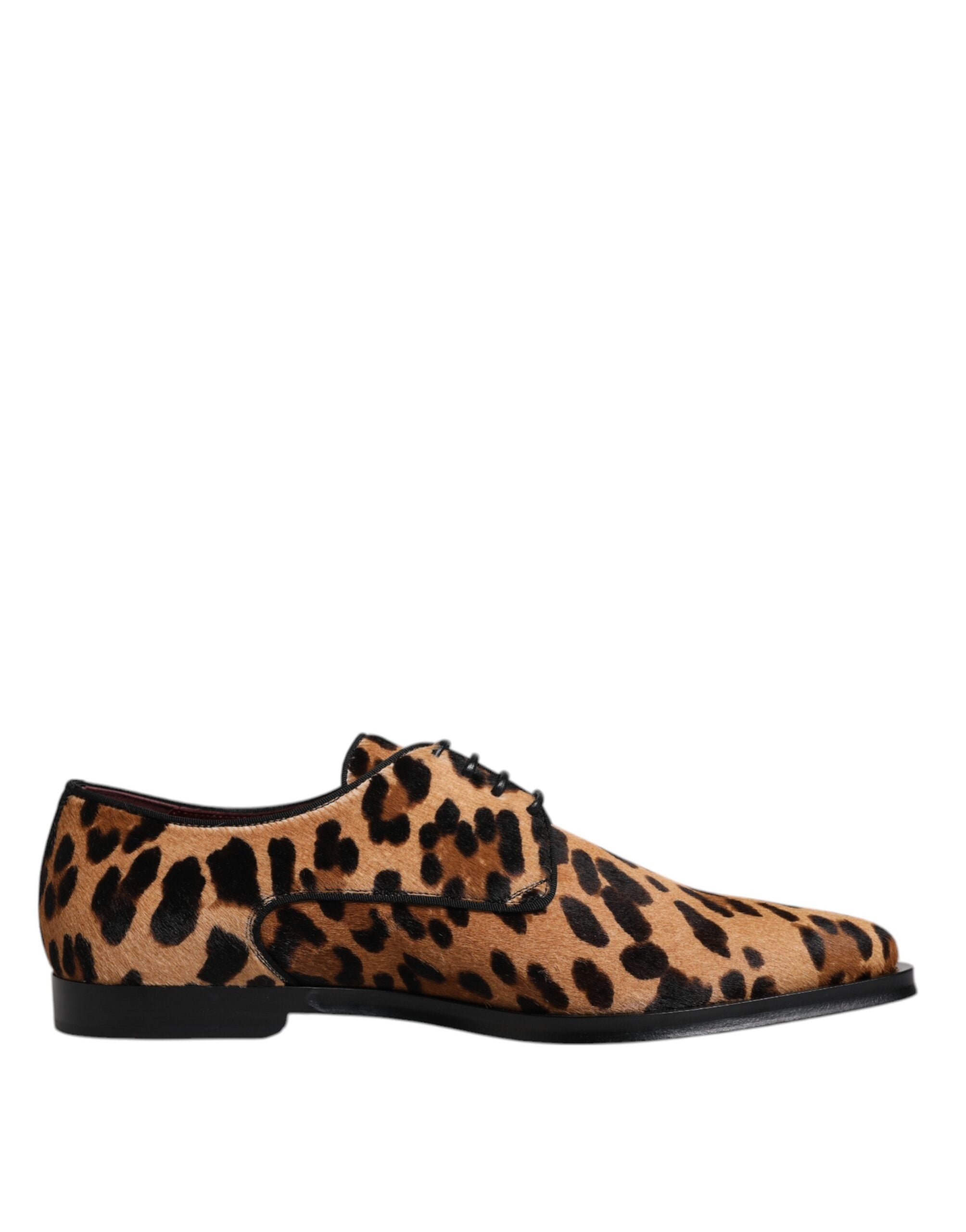 Derbies Dolce & Gabbana léopard marron