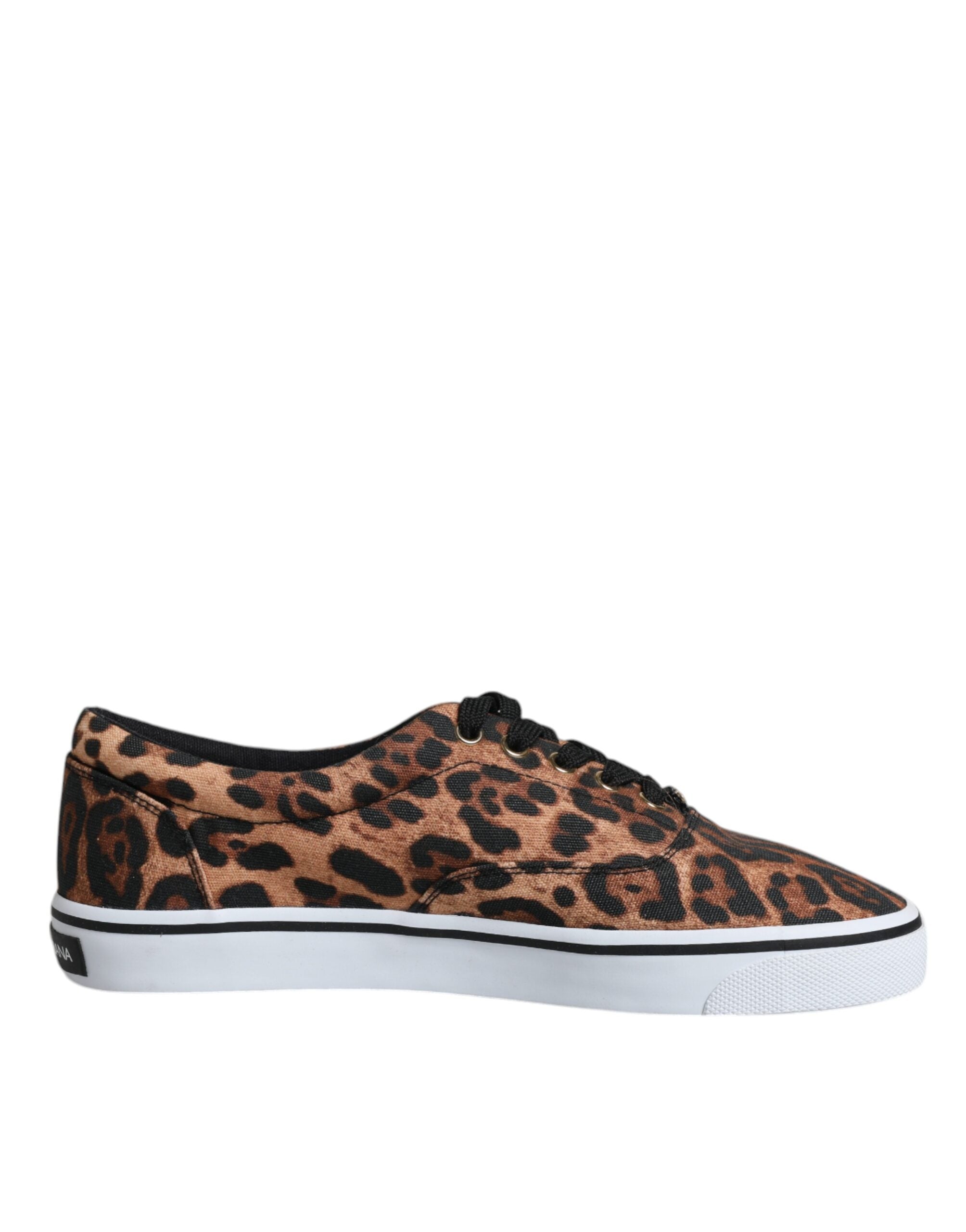 Baskets Dolce & Gabbana léopard brunes