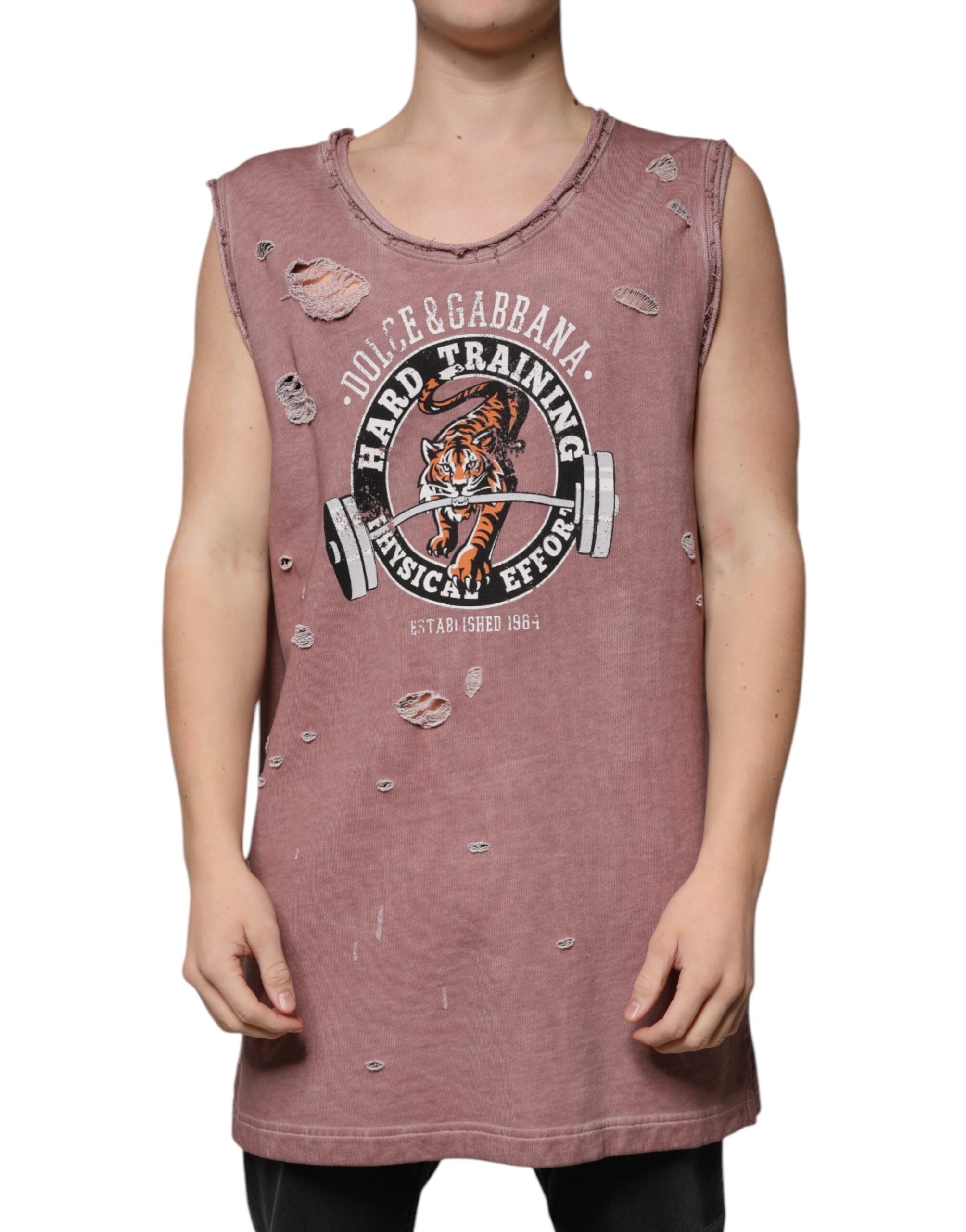 T-shirt Dolce & Gabbana rond marron