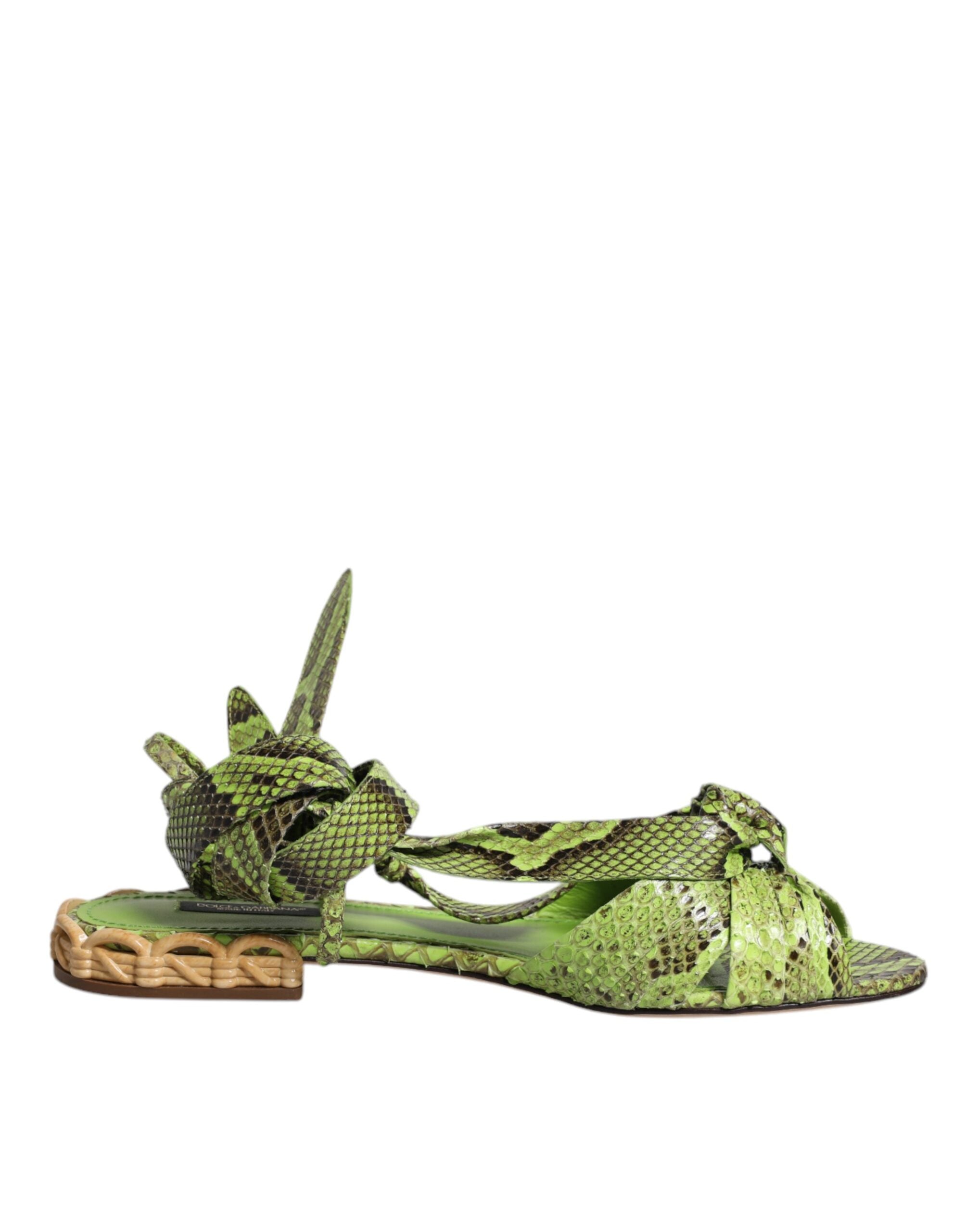 Sandales Dolce & Gabbana vertes à motif animal