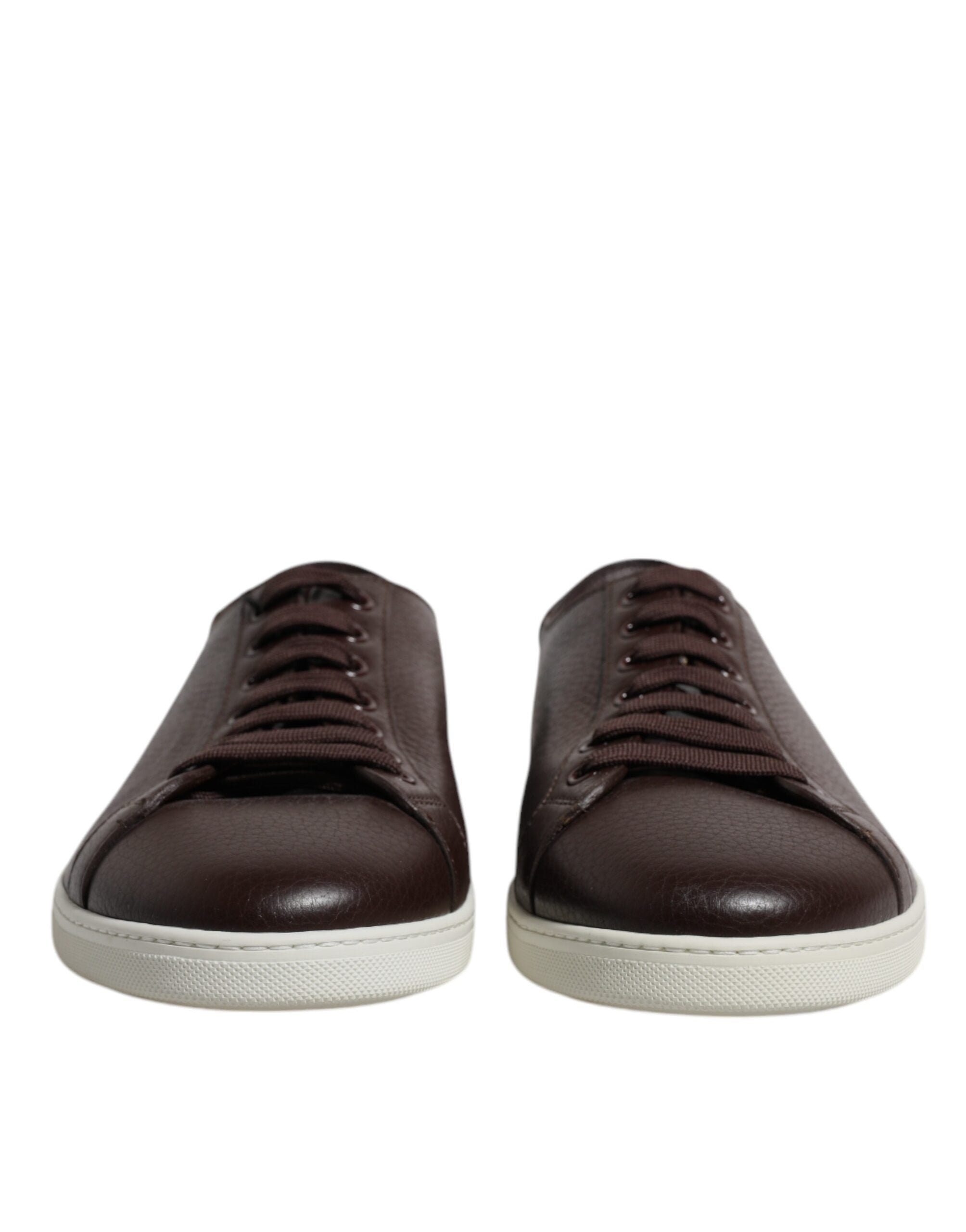 Baskets Dolce & Gabbana Saint Tropez brunes