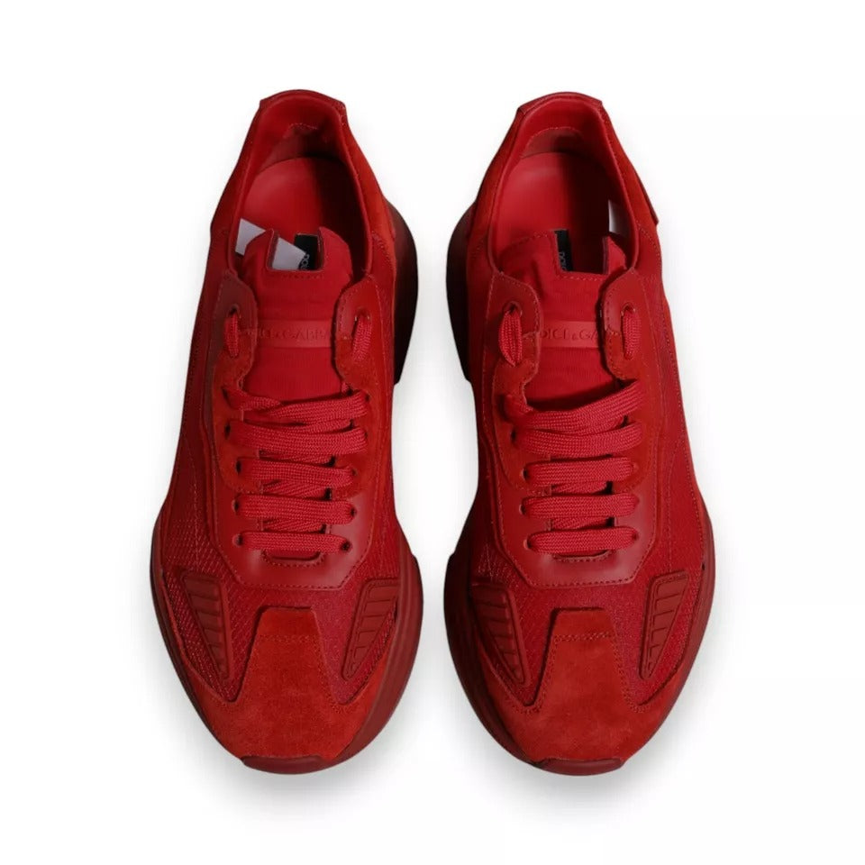 Baskets Dolce & Gabbana Daymaster rouges