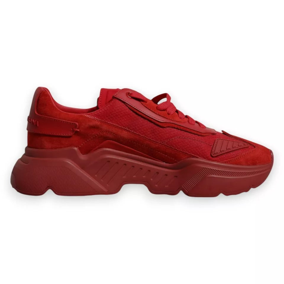 Baskets Dolce & Gabbana Daymaster rouges