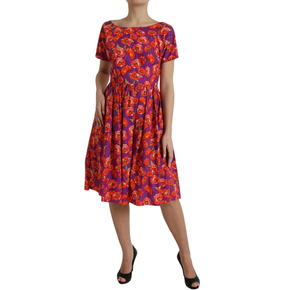 Robe Dolce & Gabbana A-line multicolore