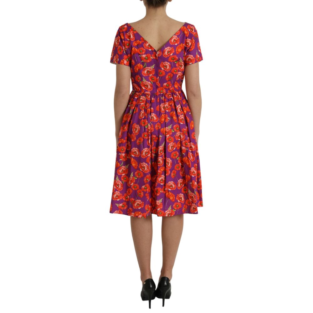 Robe Dolce & Gabbana A-line multicolore