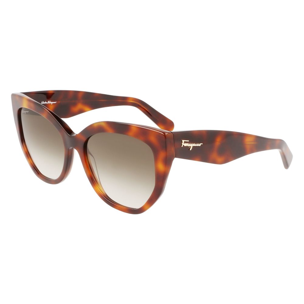 Lunettes Ferragamo SF1061S marron