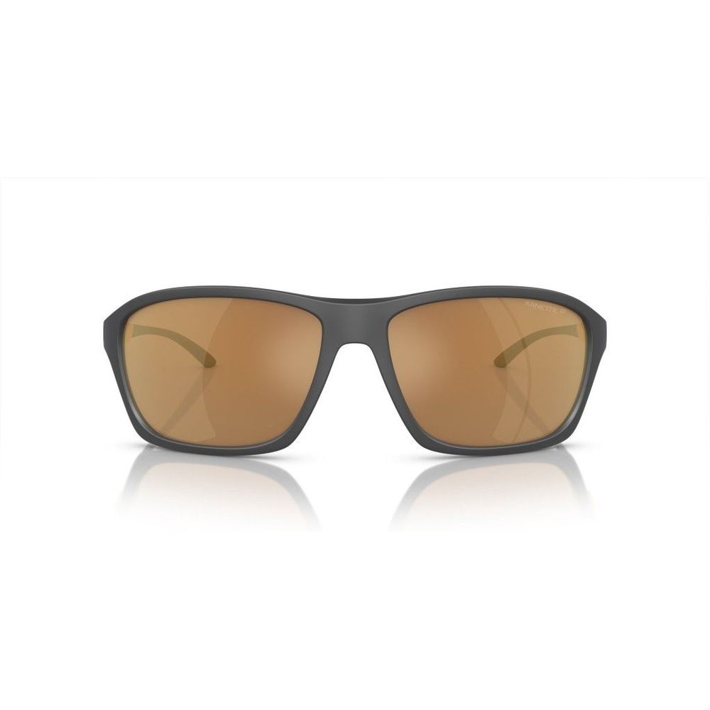 Lunettes Arnette AN4329 marron