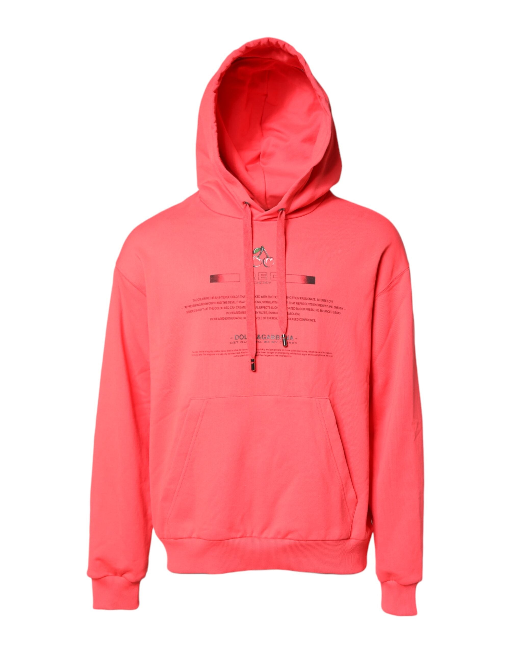 Sweat à capuche Dolce & Gabbana rouge