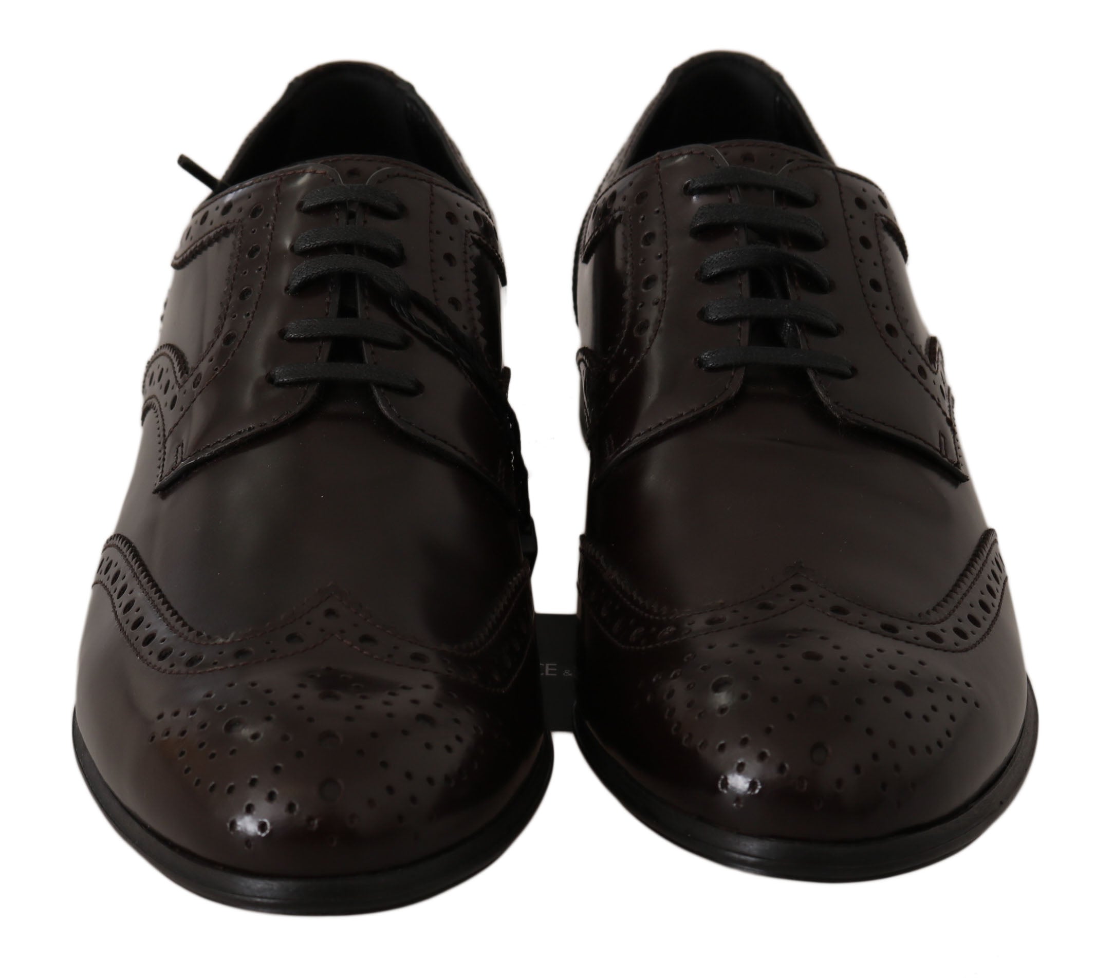 Broques Dolce & Gabbana modèle Wingtip marron