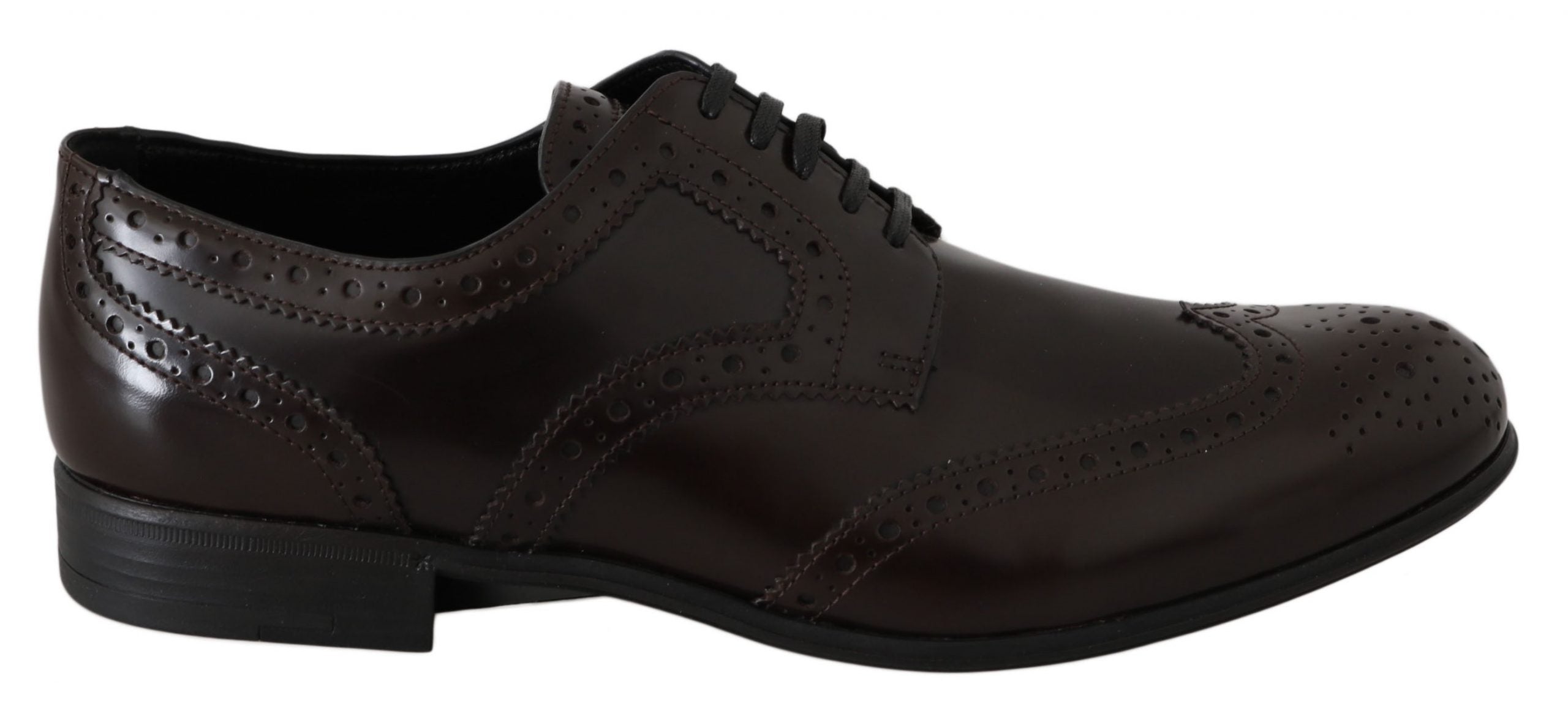 Broques Dolce & Gabbana modèle Wingtip marron