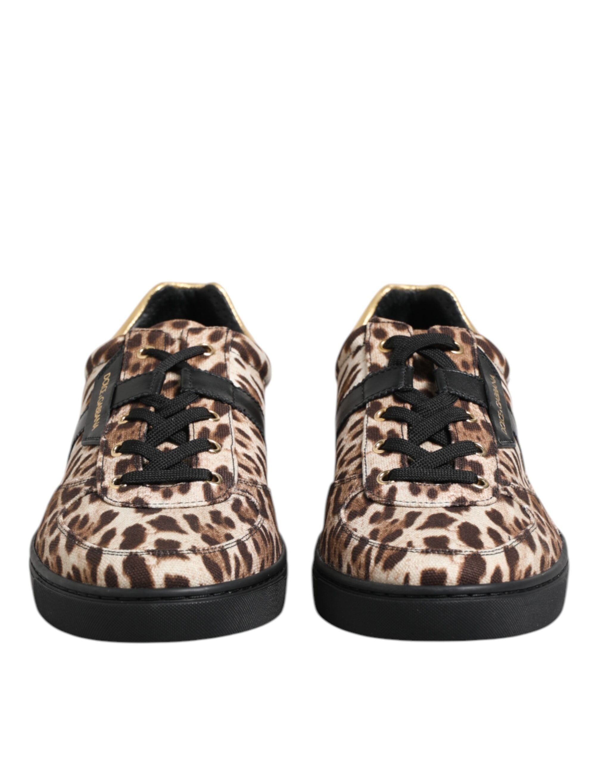 Baskets Dolce & Gabbana léopard brunes